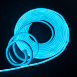 Vincentvolt Combo of 5m 12V Flexible Blue color Neon LED Light with 12V 1amp Adapter