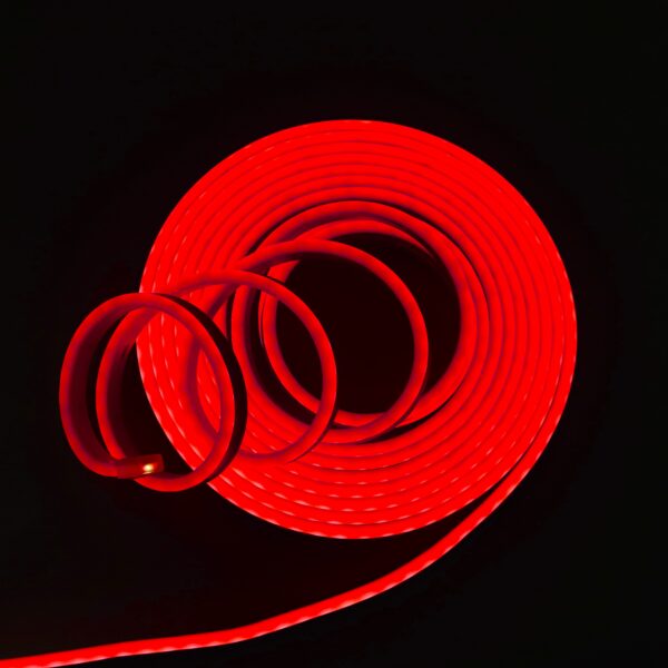 Vincentvolt Combo of 5m 12V Flexible Red color Neon LED Light with 12V 1amp Adapter