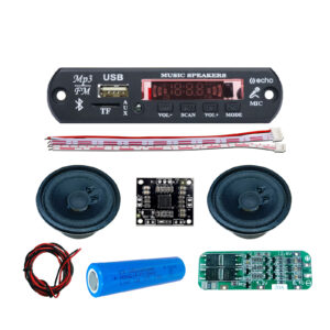 Vincentvolt Combo of Audio Amplifier Decoder Module with 2 inch speaker, 2 Meter Wire, Pam 15 + 15 Watt, Lithium, 20A BMS Circuit Modoule